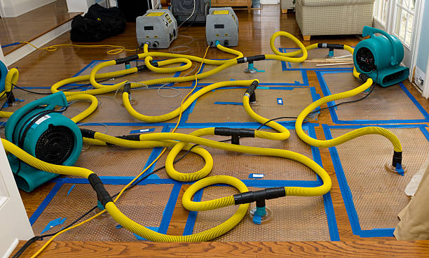 Professional Crawl Space Water Removal technician working in Sharpsburg, GA